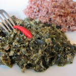 Veg Laing with Organic Red Rice